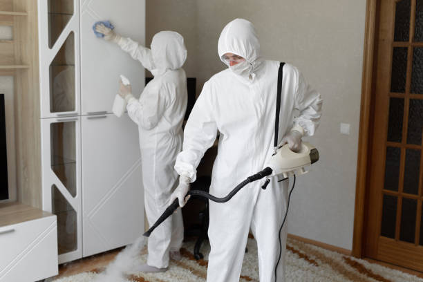24/7 Emergency Odor Removal experts in Mountain View, CA